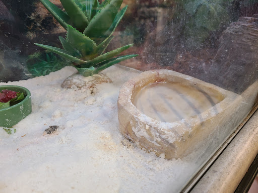 Pet Supply Store «Petco Animal Supplies», reviews and photos, 309 Worth Ave #123, Stafford, VA 22554, USA