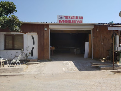 Tosyalılar Orman Ürünleri, Ahşap Karavan