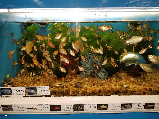 Pet Store «Pet Supermarket, Inc.», reviews and photos, 2446 N University Dr, Coral Springs, FL 33065, USA
