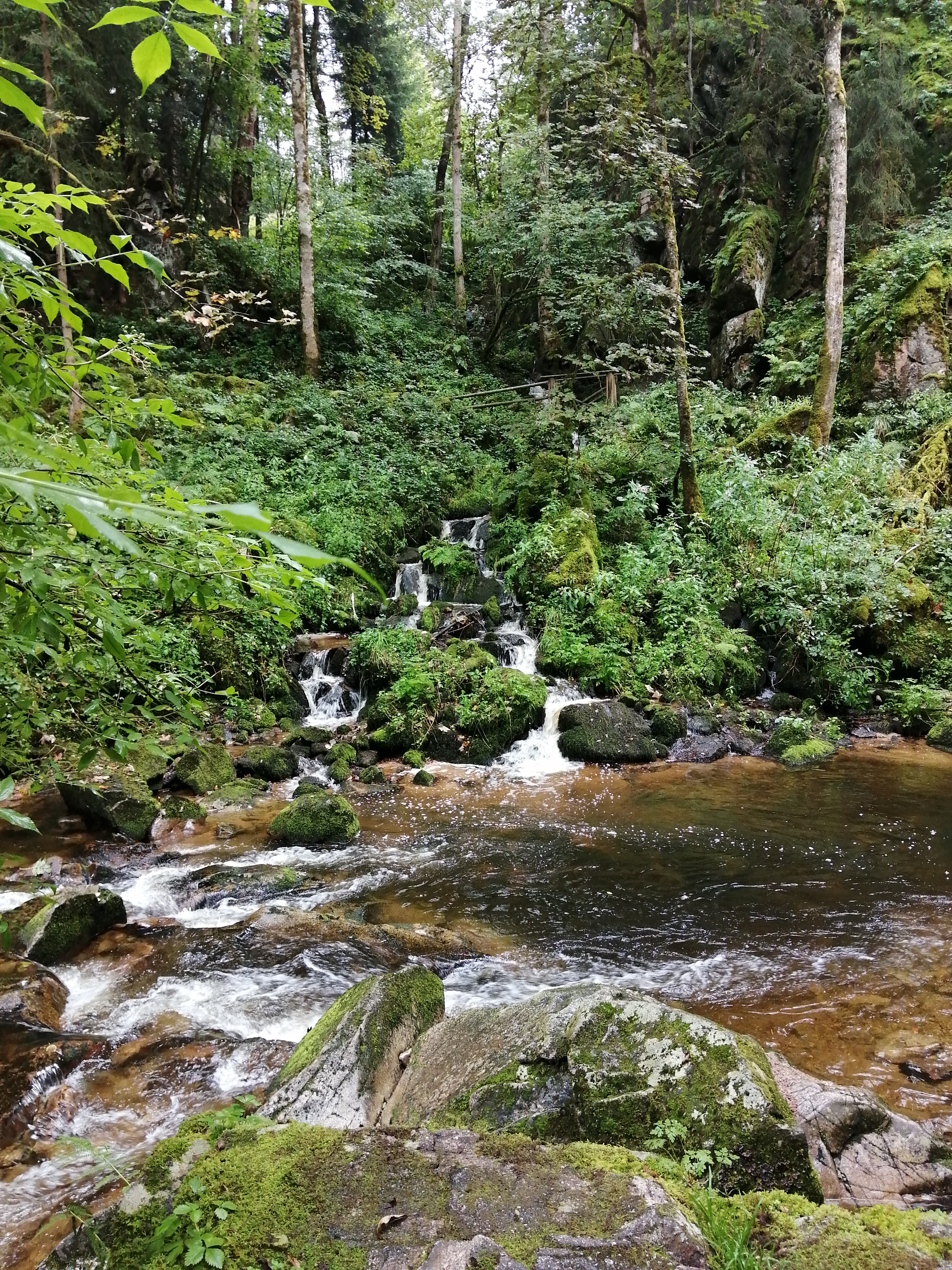 Photo n° 4 de l'avis de Claudine.m fait le 22/08/2021 à 20:07