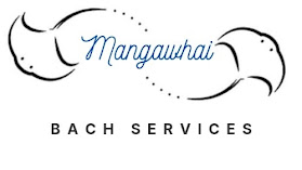 Mangawhai Bach Services