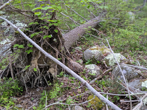 Nature Preserve «Wildlands Trust - Willow Brook Farm Preserve», reviews and photos, 99 Barker St, Pembroke, MA 02359, USA