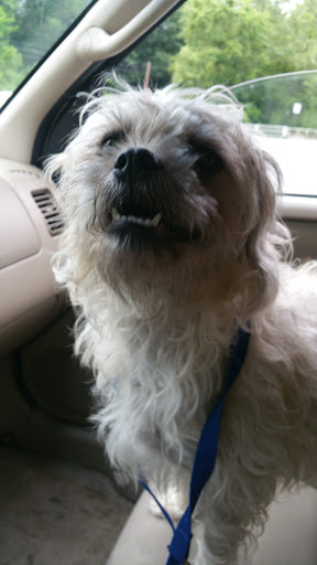 Pet Supply Store «Petco Animal Supplies», reviews and photos, 10383 Reisterstown Rd, Owings Mills, MD 21117, USA