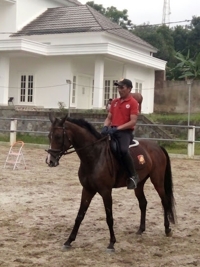 Kentauros Stable & Horse Riding School