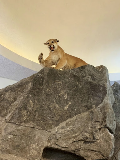 Museum «EcoTarium», reviews and photos, 222 Harrington Way, Worcester, MA 01604, USA