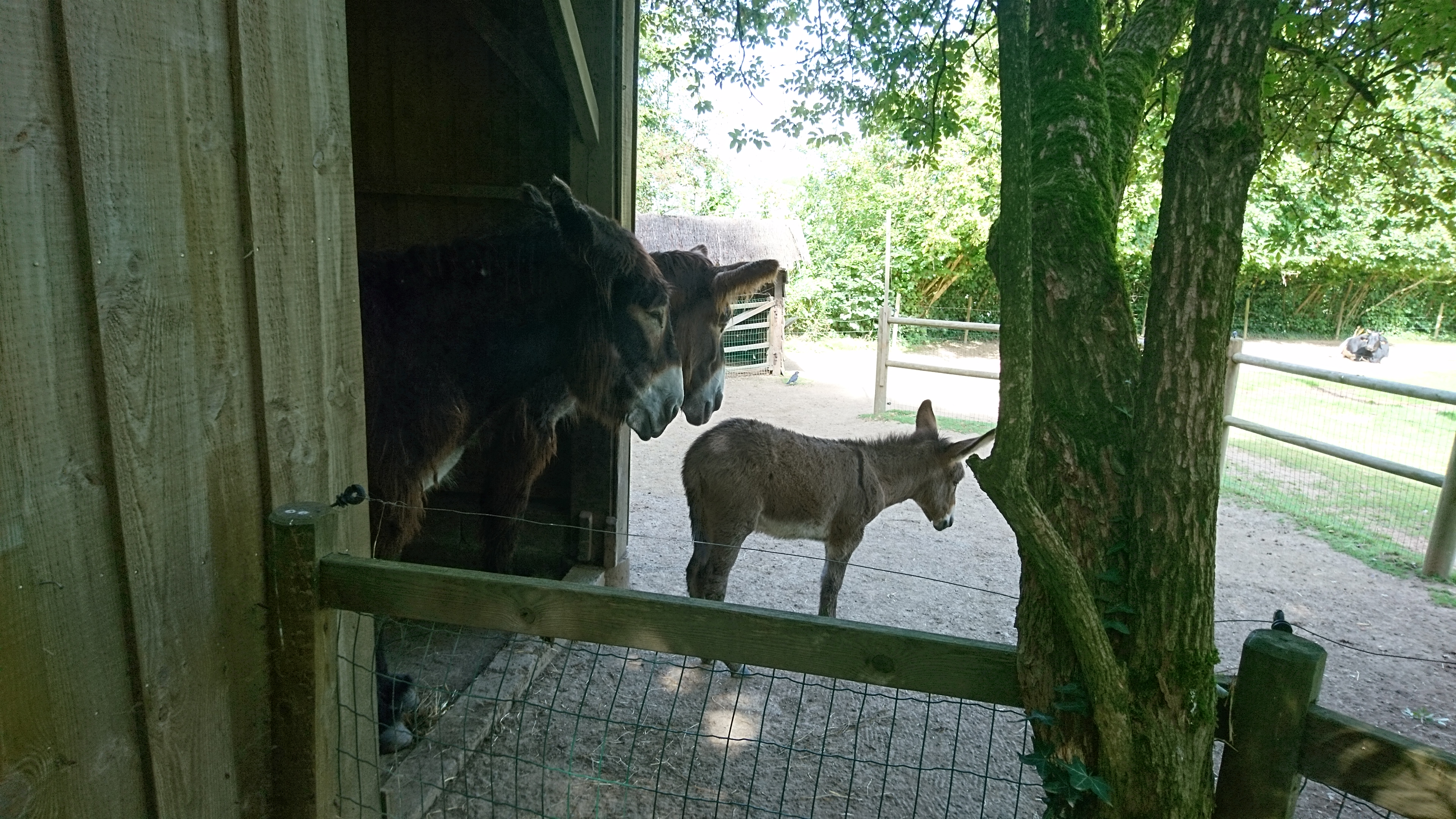 Photo n° 4 de l'avis de Philippe.e fait le 07/08/2017 à 14:04