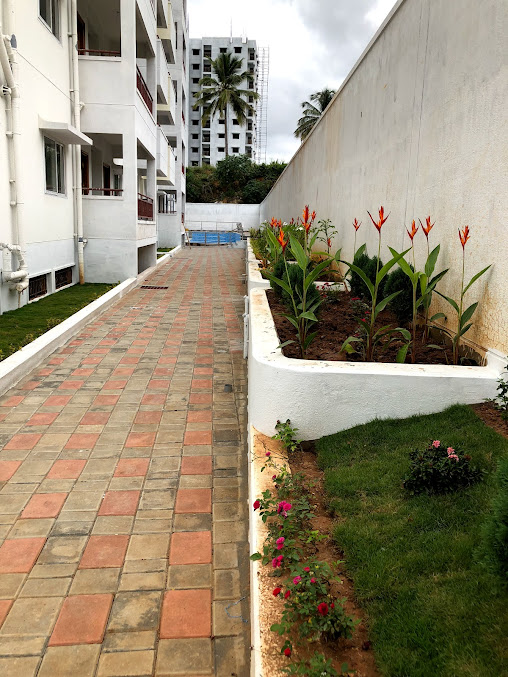 Google Maps image 12