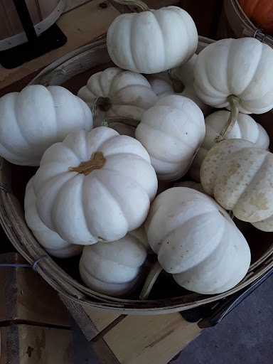 Supermarket «Big Y», reviews and photos, 830 Boston Post Rd, Guilford, CT 06437, USA