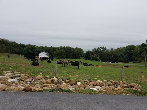 Butcher Shop «Duma Meats Inc», reviews and photos, 857 Randolph Rd, Mogadore, OH 44260, USA