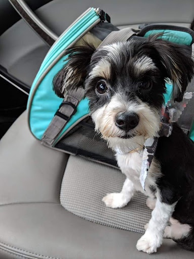 Park «Lt. Russell Steindam Park», reviews and photos, 4501 Quincy Ln, Plano, TX 75024, USA