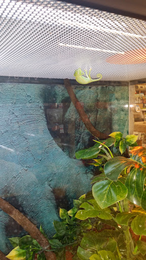 Pet Supply Store «Petco Animal Supplies», reviews and photos, 17200 Southcenter Pkwy #100, Tukwila, WA 98188, USA