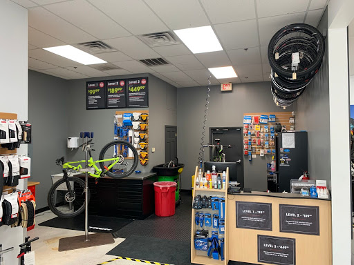 Bicycle Store «Trek Bicycle Stafford Aquia Park», reviews and photos, 2773 Jefferson Davis Hwy, Stafford, VA 22554, USA