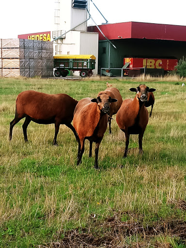 Heidesand Raiffeisen-Warengenossenschaft eG Landhandel unter Scheeßel, 