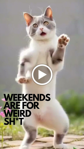 Explore good tattoo ideas for family, creative tattoo ideas in Kissimmee, available at Fallen Heroes Tattoo & Piercing (Florida)