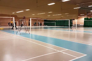 Sollentuna Badmintonsällskap image