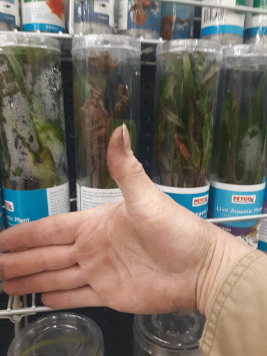 Pet Supply Store «Petco Animal Supplies», reviews and photos, 1311 E Army Post Rd, Des Moines, IA 50315, USA