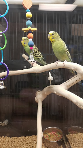 Pet Supply Store «PetSmart», reviews and photos, 132 NJ-31, Flemington, NJ 08822, USA