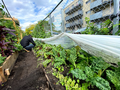 The COVIQ Garden Club