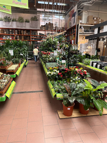 Rezensionen über BAUHAUS Fachcentren AG, Fachcenter Mels in Chur - Baumarkt