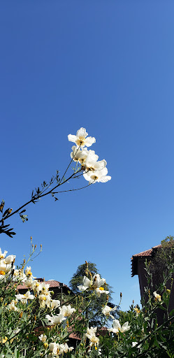 College «Sacramento City College», reviews and photos