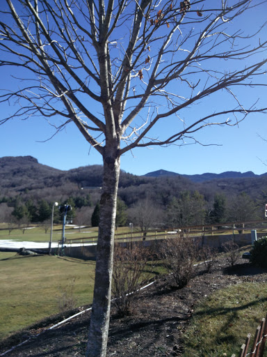 Ski Resort «Sugar Mountain Resort, Inc.», reviews and photos, 1009 Sugar Mountain Dr, Sugar Mountain, NC 28604, USA