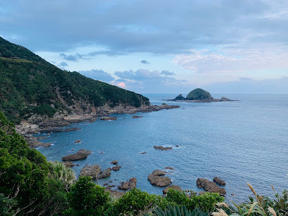 佐多岬海岸(霧島錦江湾国立公園 特別保護区)