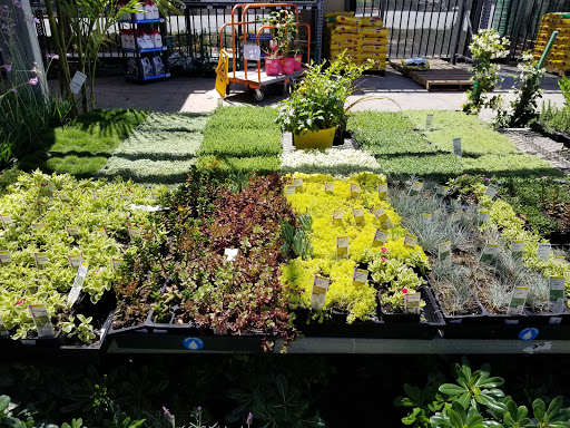 Home Improvement Store «The Home Depot», reviews and photos, 6140 Hamner Ave, Mira Loma, CA 91752, USA