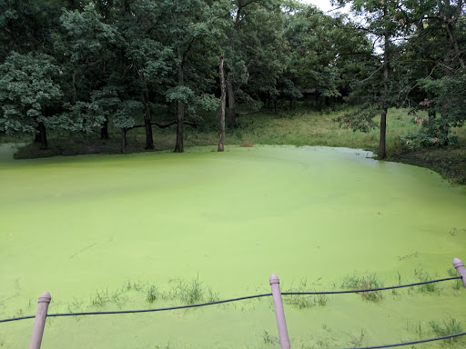 Zoo «Minnesota Zoo», reviews and photos, 13000 Zoo Blvd, Apple Valley, MN 55124, USA