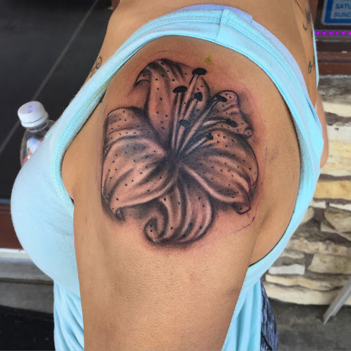 Find octopus tattoo ideas for your next unique tattoo in Roscoe at Elevated Ink Tattoo