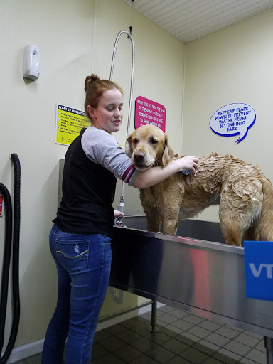 Pet Groomer «Foam & Wash Car & Pet Wash», reviews and photos, 20 Merritt Blvd, Fishkill, NY 12524, USA