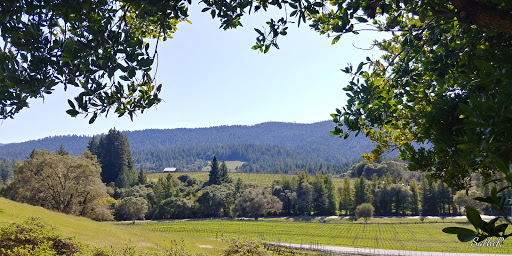 Winery «Roederer Estate», reviews and photos, 4501 CA-128, Philo, CA 95466, USA