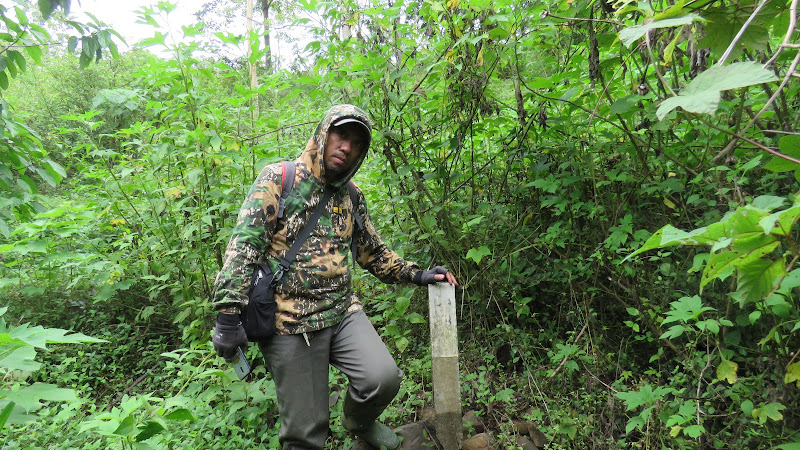 Menjelajahi Hutan Nasional di Pasuruan: Keindahan Alam yang Mengagumkan