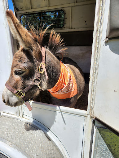 Tourist Attraction «Tollen Farm», reviews and photos, 11681 SW Tooze Rd, Wilsonville, OR 97070, USA