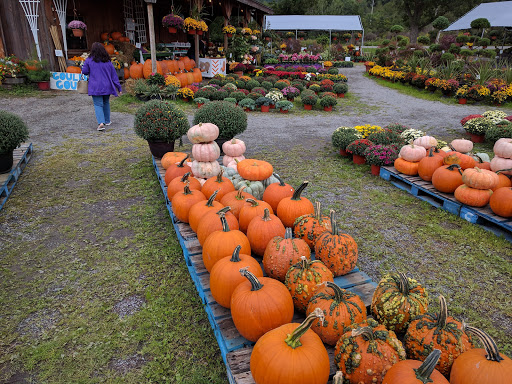 Produce Market «The Bigsby Market», reviews and photos, 1418 Dryden Rd, Freeville, NY 13068, USA