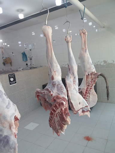 ملحمة خير وفاء 