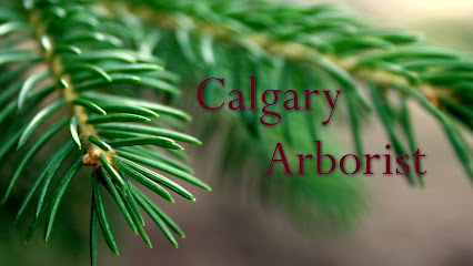 Calgary Arborist