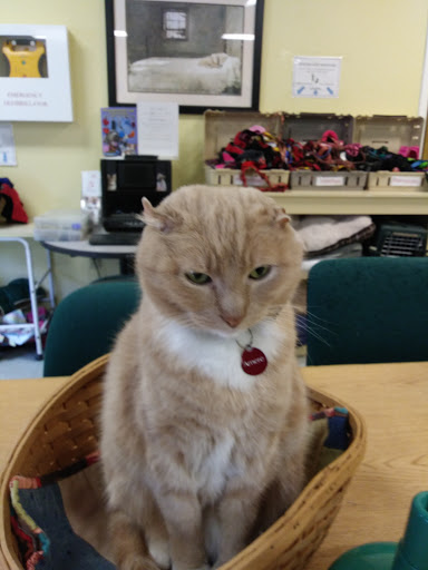 Animal Shelter «Coastal Humane Society», reviews and photos