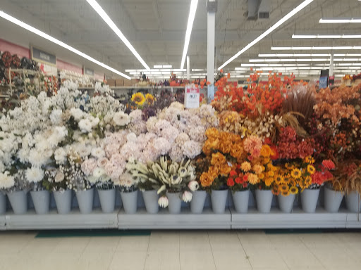 Craft Store «Michaels», reviews and photos, 402 W Army Trail Rd, Bloomingdale, IL 60108, USA