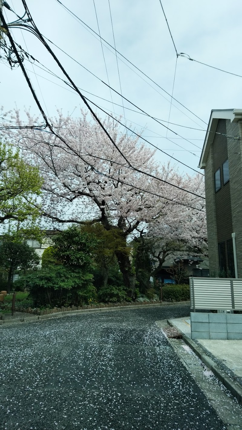 練馬区立寿緑地