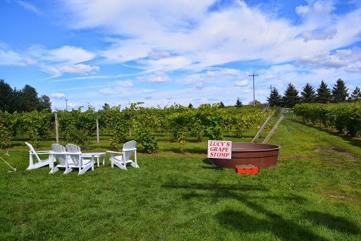 Winery «Next Chapter Winery», reviews and photos, 16945 320th St, New Prague, MN 56071, USA