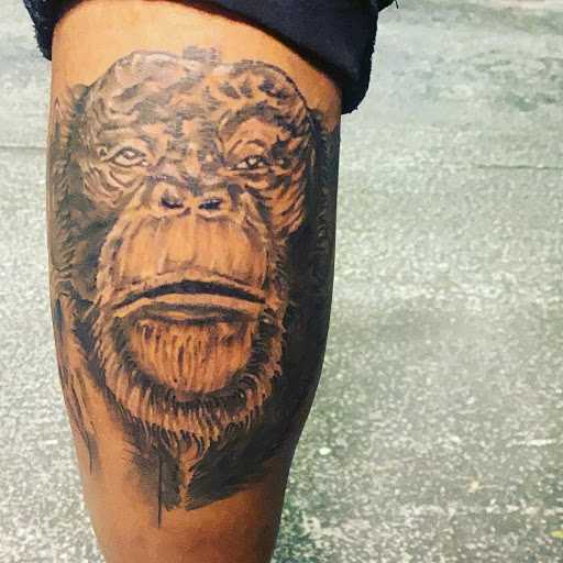 Explore jelly fish tattoo ideas, creative tattoo ideas in Jacksonville, available at Renegade Art Studio LLC