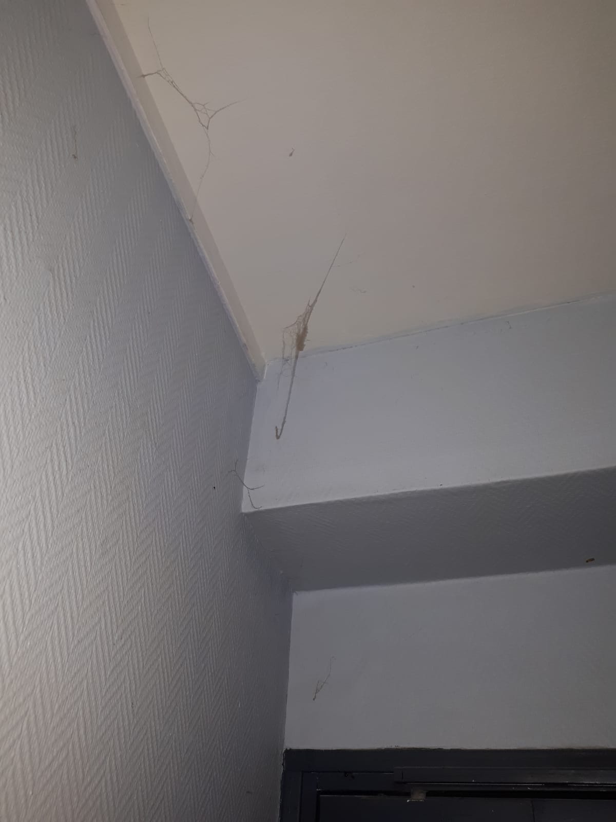 Photo n° 4 de l'avis de Cyril.a fait le 30/06/2018 à 13:02