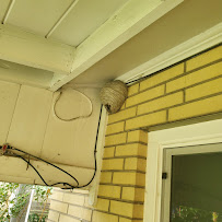 Peak Pest Control - Photo 5 - Car repair in , Denver