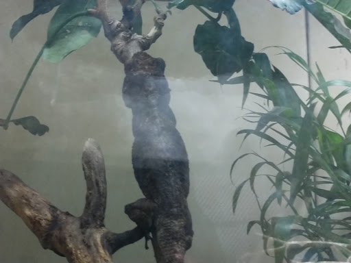 Museum «Tropical Discovery», reviews and photos, 2900 E 23rd Ave, Denver, CO 80205, USA