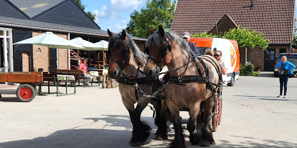 Landschapscamping De Paardenwei