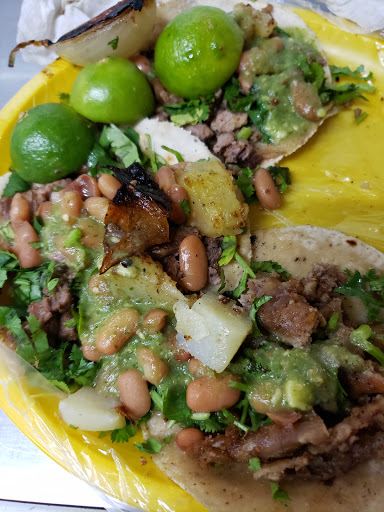Tacos Mailo