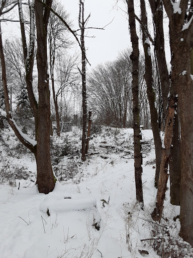 Park «Lewis Park», reviews and photos, 1120 15th Ave S, Seattle, WA 98144, USA