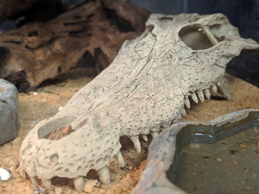 Pet Supply Store «Buckles Feed Depot & Pet Supply», reviews and photos, 220 S 4th St, Lafayette, IN 47901, USA