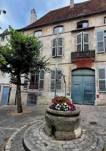 Visites guidées du Vieux Vesoul - Yannick Denoix à Vesoul