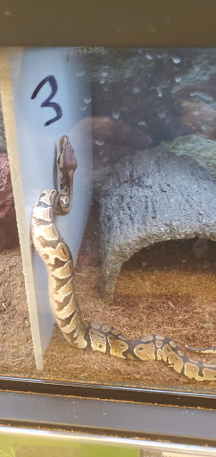 Pet Supply Store «Petco Animal Supplies», reviews and photos, 10 Sylvan St, Peabody, MA 01960, USA